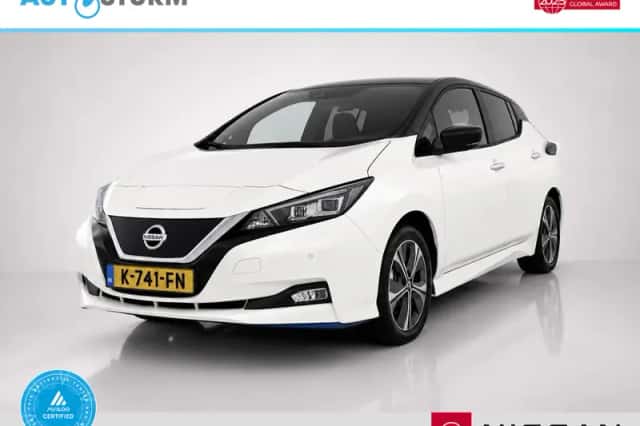 Nissan Leaf (2020) thumbnail 1