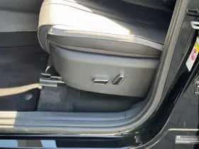 BYD Dolphin (2026) thumbnail 13