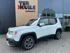 Jeep Renegade (2016) thumbnail 1
