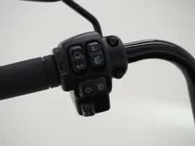 Harley-Davidson 114 FLHCS Softail Heritage Classic (2022) thumbnail 38