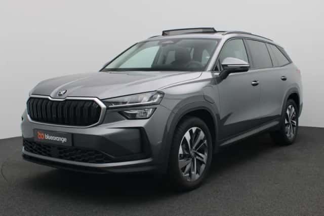 Škoda Kodiaq (2026) thumbnail 1