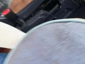 Dethleffs GLOBEBUS T (2010) thumbnail 24