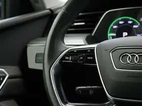 Audi e-tron (2021) thumbnail 19