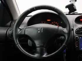 Peugeot 206 (2004) thumbnail 16