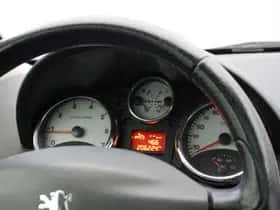Peugeot 207 (2009) thumbnail 16