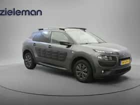 Citroën C4 Cactus (2015)