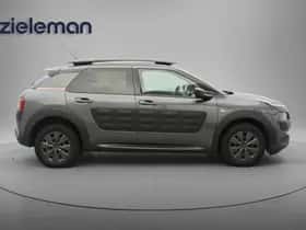 Citroën C4 Cactus (2015) thumbnail 12