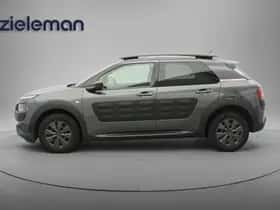 Citroën C4 Cactus (2015) thumbnail 15