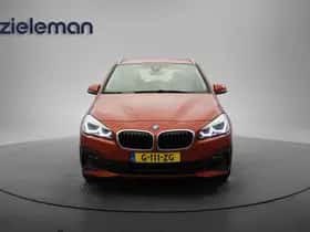 BMW 2-Serie (2020) thumbnail 12