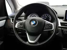 BMW 2-Serie (2020) thumbnail 18