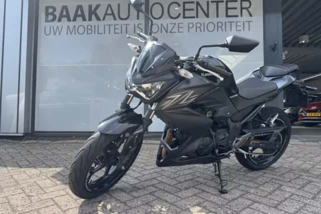 Kawasaki Z300 (2016) thumbnail 1