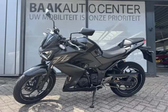 Kawasaki Z300 (2016) thumbnail 2