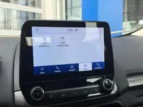Ford EcoSport (2019) thumbnail 28