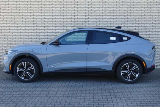 Ford Mustang Mach-E (2026) thumbnail 5