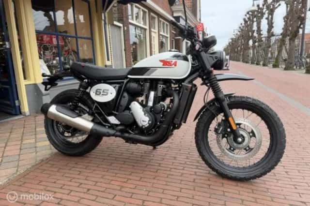BSA 650 (2026) thumbnail 6