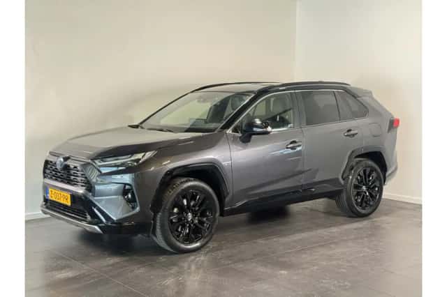 Toyota RAV4 (2024) thumbnail 1