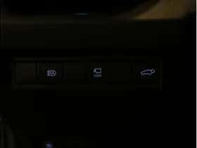 Toyota RAV4 (2020) thumbnail 12
