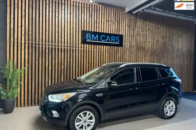 Ford Kuga (2017) thumbnail 1