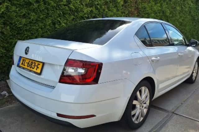 Škoda Octavia (2019) thumbnail 2