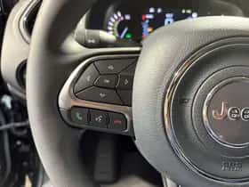 Jeep Renegade (2021) thumbnail 20