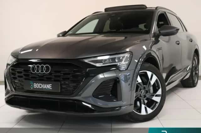 Audi Q8 e-tron (2024) thumbnail 1