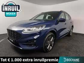 Ford Kuga (2021)
