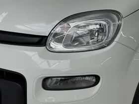 Fiat Panda (2022) thumbnail 18