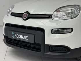 Fiat Panda (2022) thumbnail 20