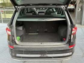 Škoda Kodiaq (2021) thumbnail 9