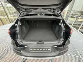 Mitsubishi Grandis (2026) thumbnail 9