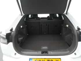 Ford Capri (2024) thumbnail 9