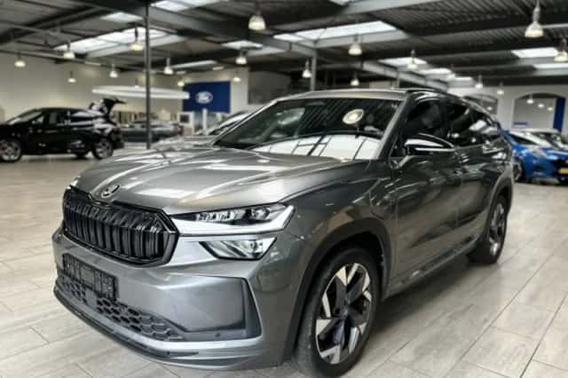 Škoda Kodiaq (2025) thumbnail 1