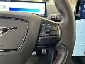Ford Mustang Mach-E thumbnail 12