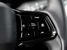 Toyota Urban Cruiser (2026) thumbnail 29
