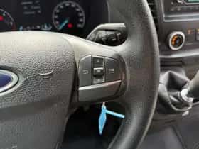 Ford Transit (2021) thumbnail 23