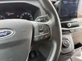 Ford E transit (2022) thumbnail 24