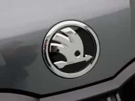 Škoda Kamiq (2026) thumbnail 9