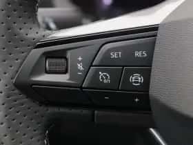 SEAT Ibiza (2026) thumbnail 19