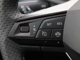 SEAT Ibiza (2026) thumbnail 19