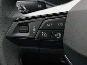 SEAT Ibiza (2026) thumbnail 19