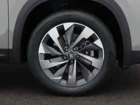 Škoda Kodiaq (2026) thumbnail 12