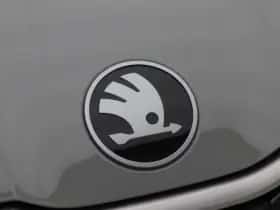 Škoda Kodiaq (2026) thumbnail 10