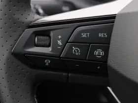 SEAT Ibiza (2026) thumbnail 19