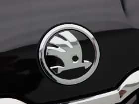 Škoda Karoq thumbnail 24