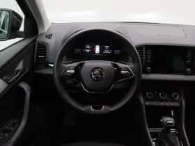 Škoda Karoq thumbnail 31