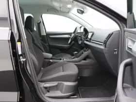 Škoda Karoq thumbnail 34