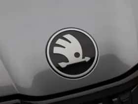 Škoda Kodiaq (2025) thumbnail 9