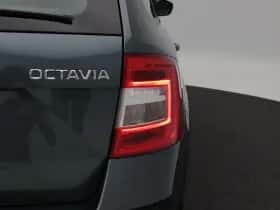 Škoda Octavia (2019) thumbnail 12