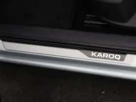 Škoda Karoq (2021) thumbnail 25