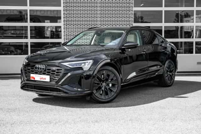 Audi Q8 (2024) thumbnail 1